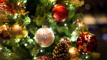 Christmas Open Day at Elmwood House care home